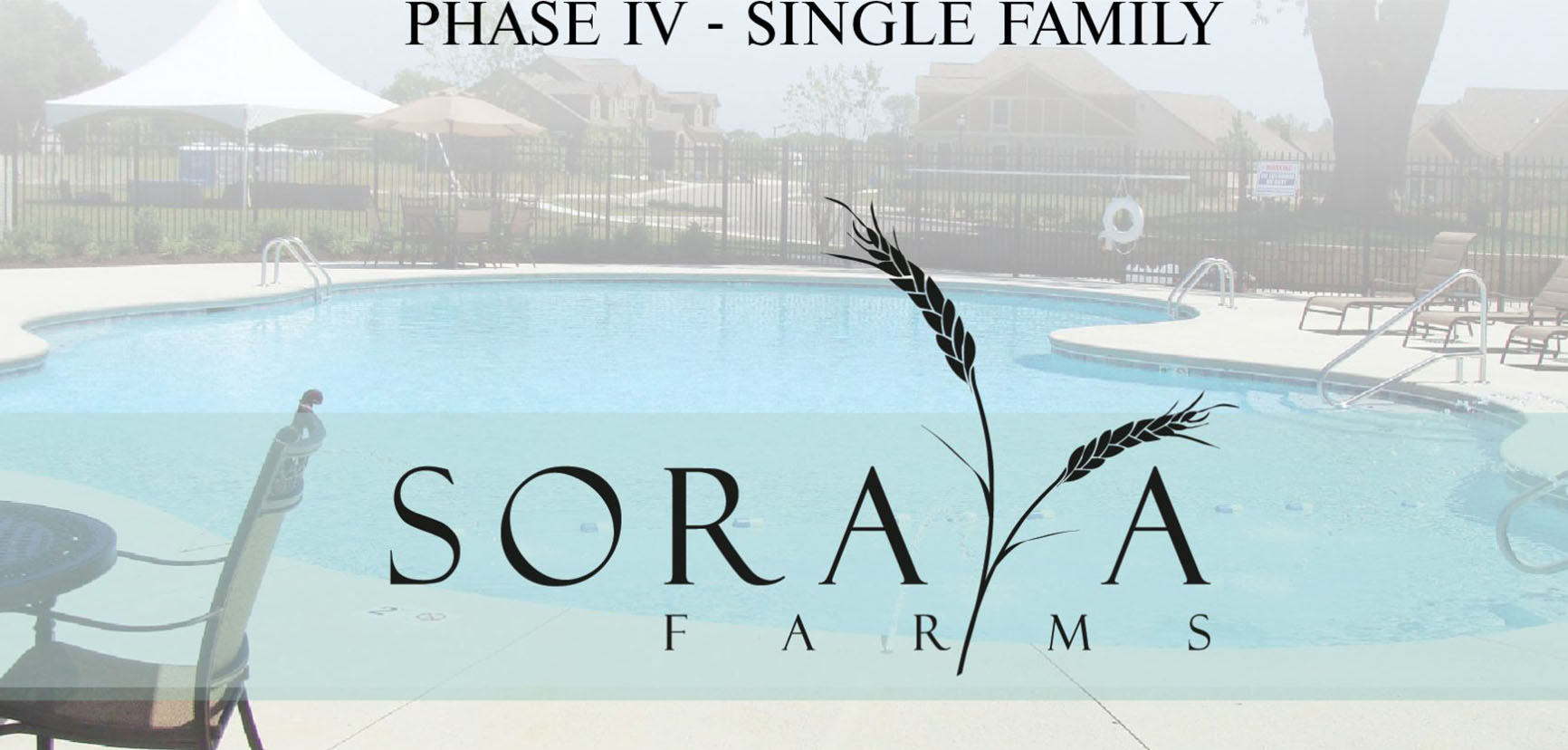 Featured image for “Soraya Farms – Phase IV Just Released”
