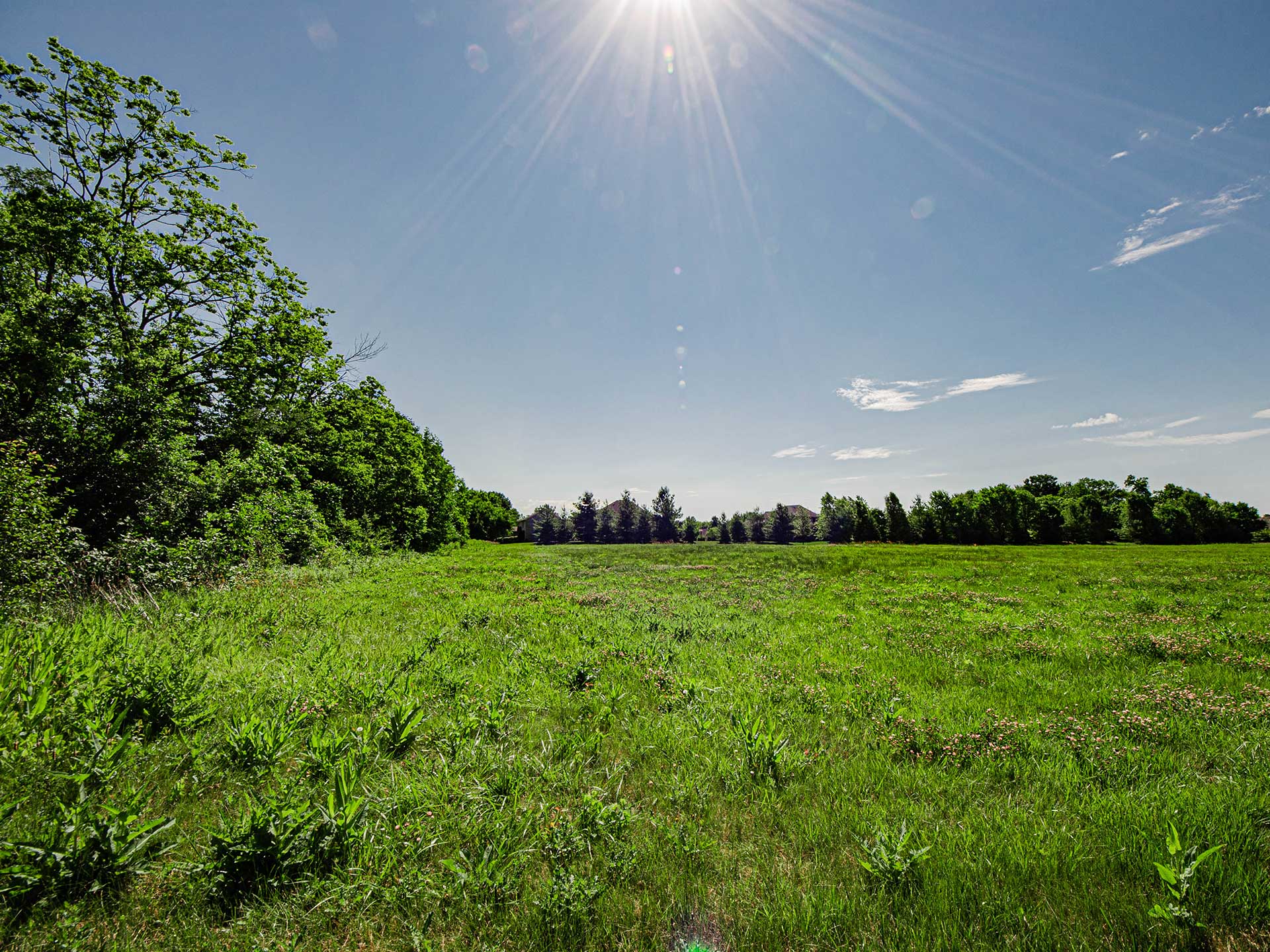 Featured image for “Design and Build on Your Land -Your Vision, Our Expertise”