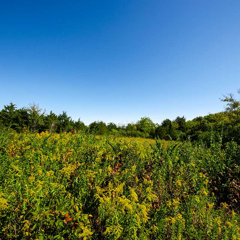 Custom home builder near me